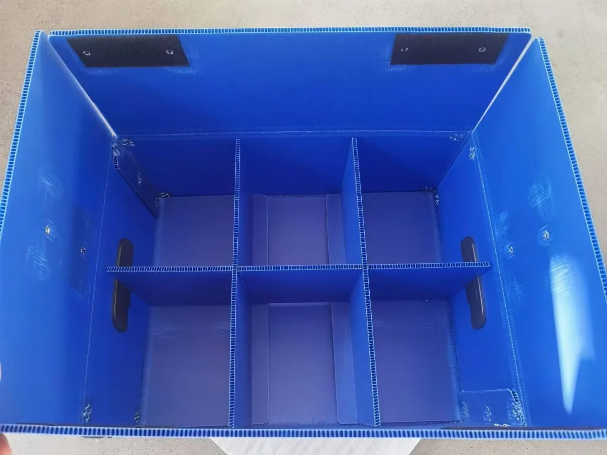 PP Hollow Sheet vs Cardboard: A B2B Packaging Guide Blue PP corrugated box with a fitted cell-divider layout