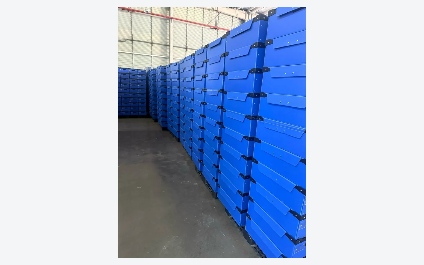 Rows of blue PP corrugated foldable boxes prepared for industrial applications